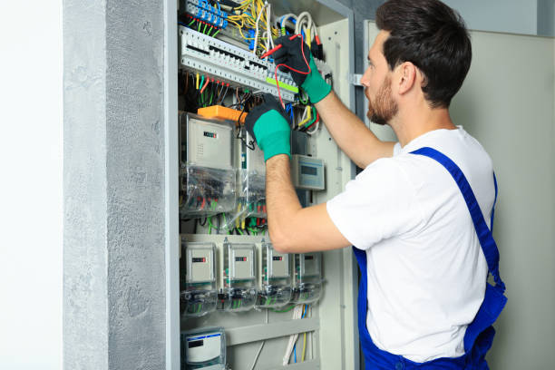 Best Electrical Upgrades for Homes  in Reinbeck, IA