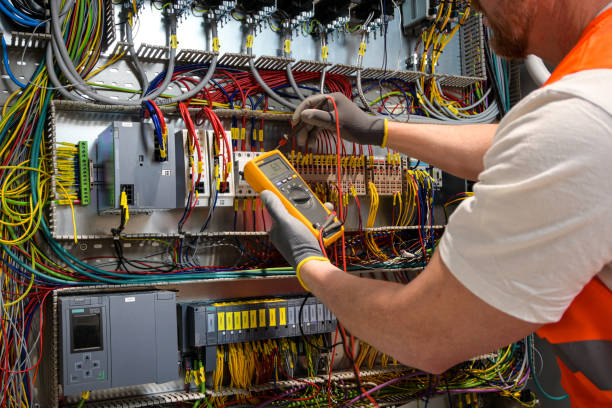 Best Electric Panel Repair  in Reinbeck, IA